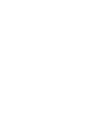 logo pie